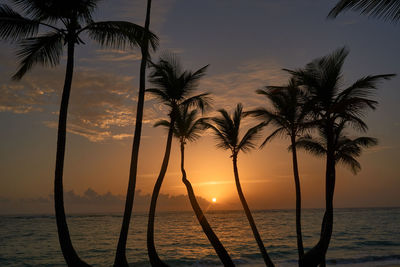 Silhouette palm trees by sea against sky during sunset