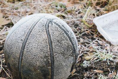 High angle view of ball on field