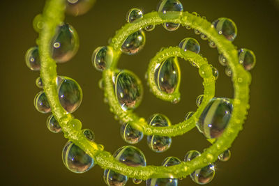 Close-up of chandelier