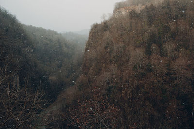 View of snow covered land