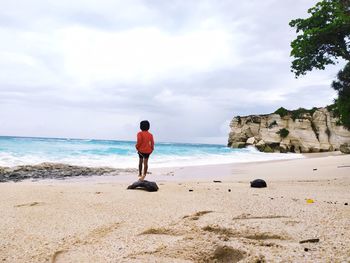 Rear view of man on beach against sky