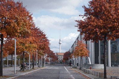 The colour changes on leaves in the autumn season in berlin, germany.