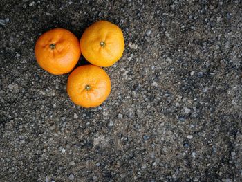 High angle view of orange