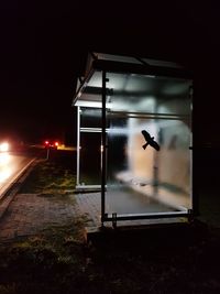 Illuminated street light against building at night