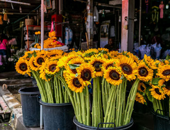 Close-up of yellow flowering plants in market