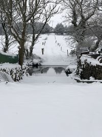 Scenic view of snow covered land and trees