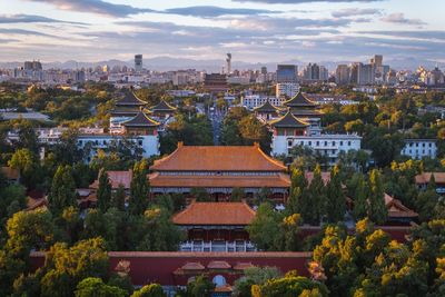 High angle view of trees and buildings in city