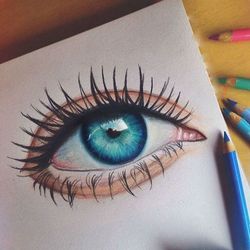 human eye