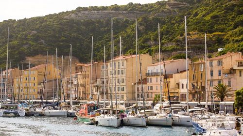 Boats moored at harbor by buildings in city