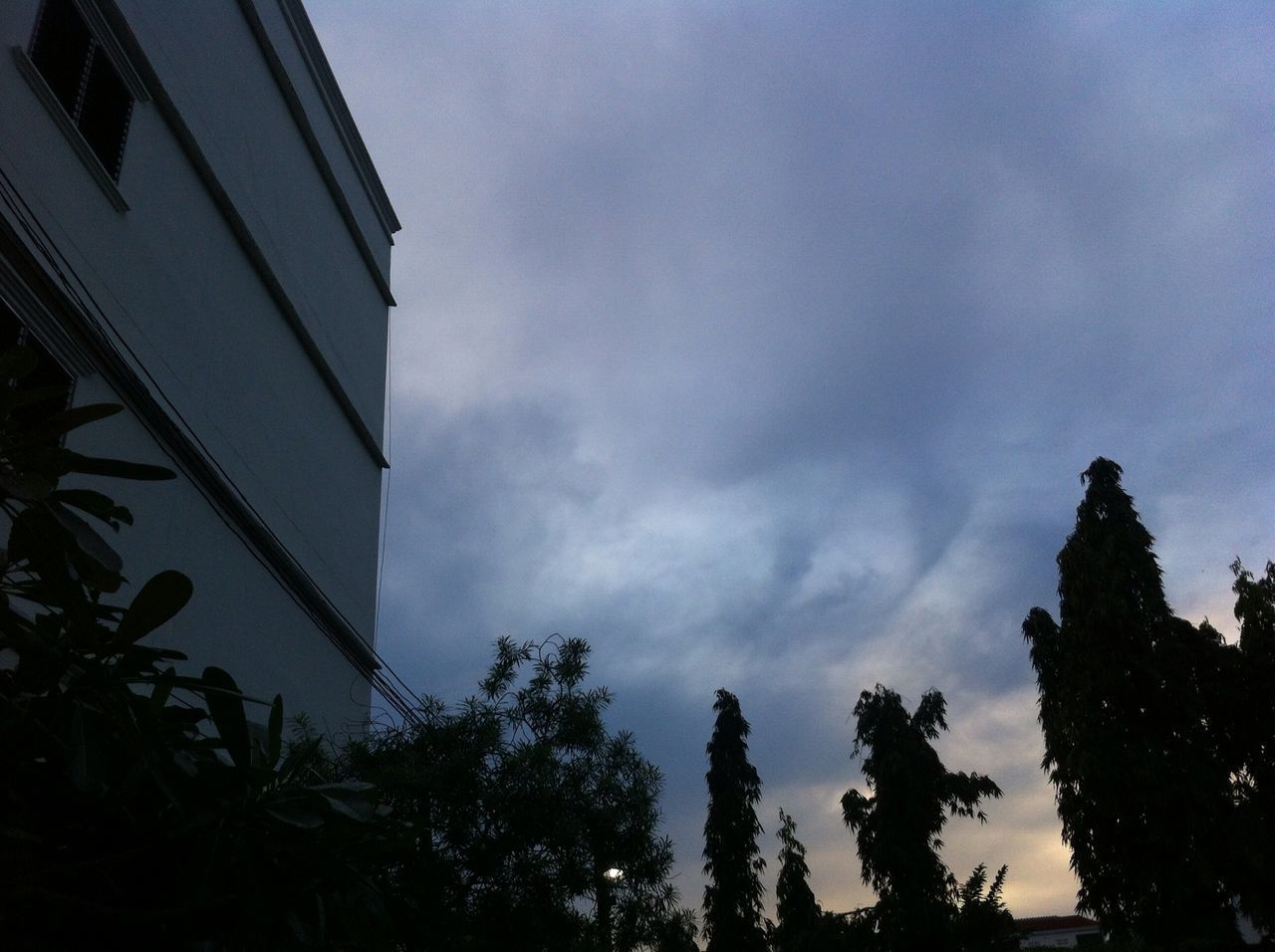 LOW ANGLE VIEW OF SILHOUETTE TREES AND BUILDING AGAINST SKY