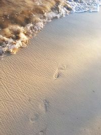 Surface level of beach