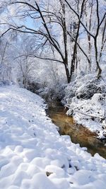 Scenic view of snow covered tree during winter