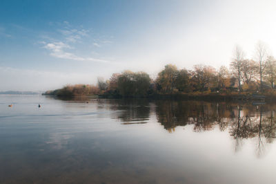 Scenic view of lake by trees against sky