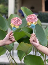 Close-up of hand holding plant