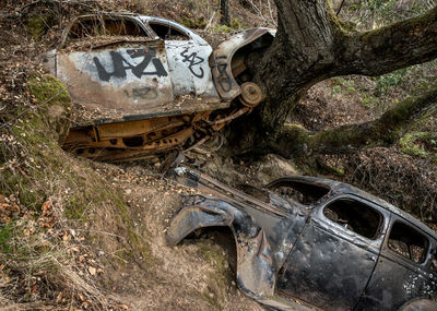 Abandoned text on tree