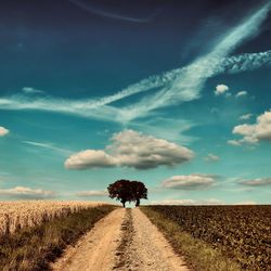 Dirt road amidst agricultural field against sky