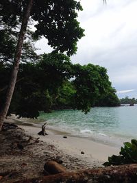 Scenic view of sea against sky