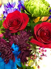 Full frame shot of multi colored flowers