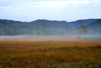 Scenic view of field and mountains against sky