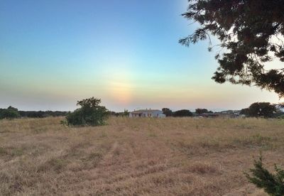 Scenic view of field against clear sky during sunset