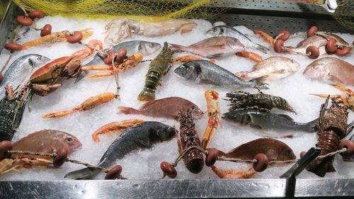 High angle view of fresh fish for sale in market