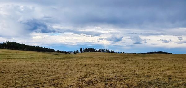 Scenic view of field against sky