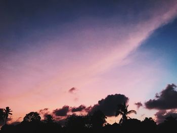 Low angle view of trees against sky during sunset