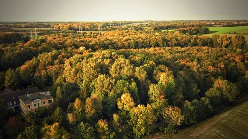 High angle view of plants and trees against sky