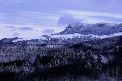 Scenic view of landscape against sky during winter