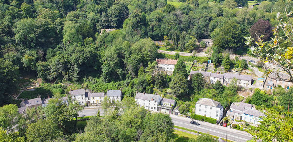 High angle view of trees and buildings in village