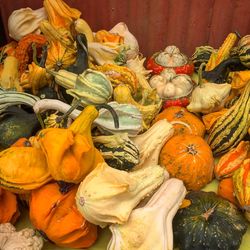 High angle view of pumpkins for sale at market stall