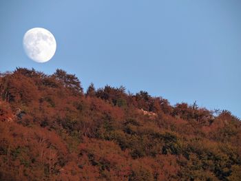 Scenic view of landscape against clear sky at night