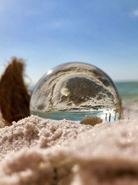 Close-up of beach against sky