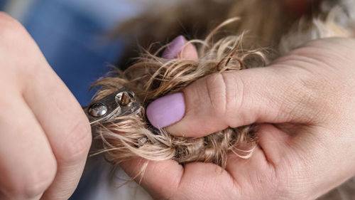 Close-up of woman