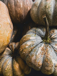 Full frame shot of pumpkin