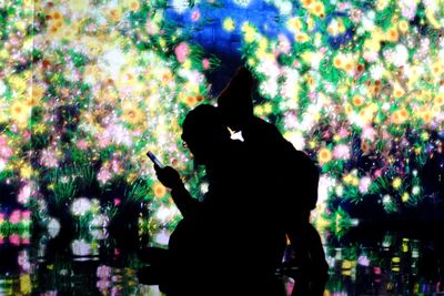 Cat looking up at night