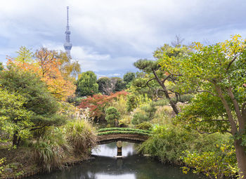 Tokyo, japan - nov 13 2021 tokyo skytree and the pond of mukojima-hyakkaen gardens in autumn.