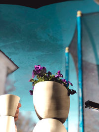 Person holding flower pot against blurred background