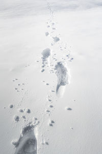 High angle view of footprints on snowy land