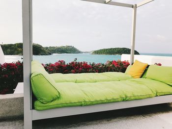 Flowering plants on sofa against sky seen through window