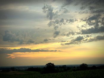 Silhouette trees on field against sky at sunset