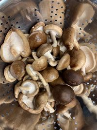 High angle view of mushrooms in a bowl