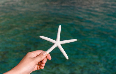 Personal perspective of hand holding white sea star against sea