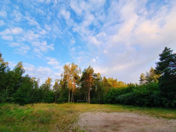 Trees on field against sky during autumn