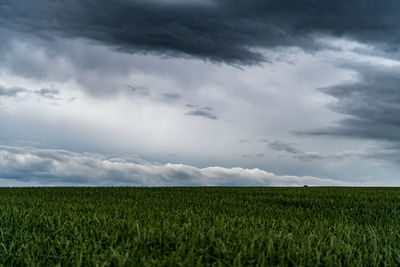 Scenic view of agricultural field against sky