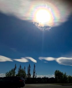 Sun shining over trees against sky