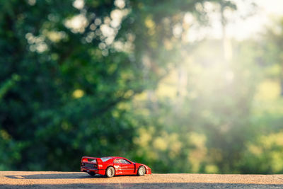 Red toy car in park