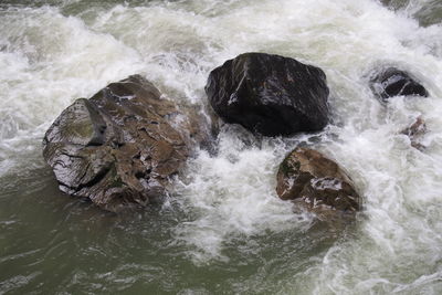 High angle view of waves splashing on rocks