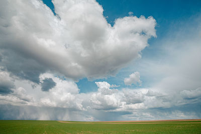 Scenic view of agricultural field against sky