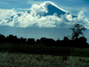 Scenic view of field against sky